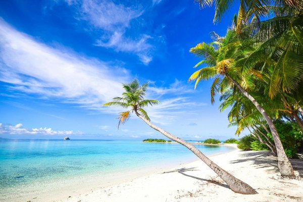 Agences de voyage : pourquoi passer par elles pour réserver son séjour